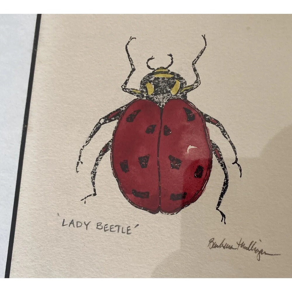 Barbara Mulligan Signed Framed Art Print Lady Beetle Ladybug Natural‎ Light